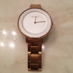 Skagen Watch